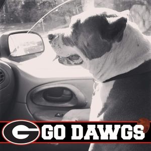 Meet your Posher, Shane